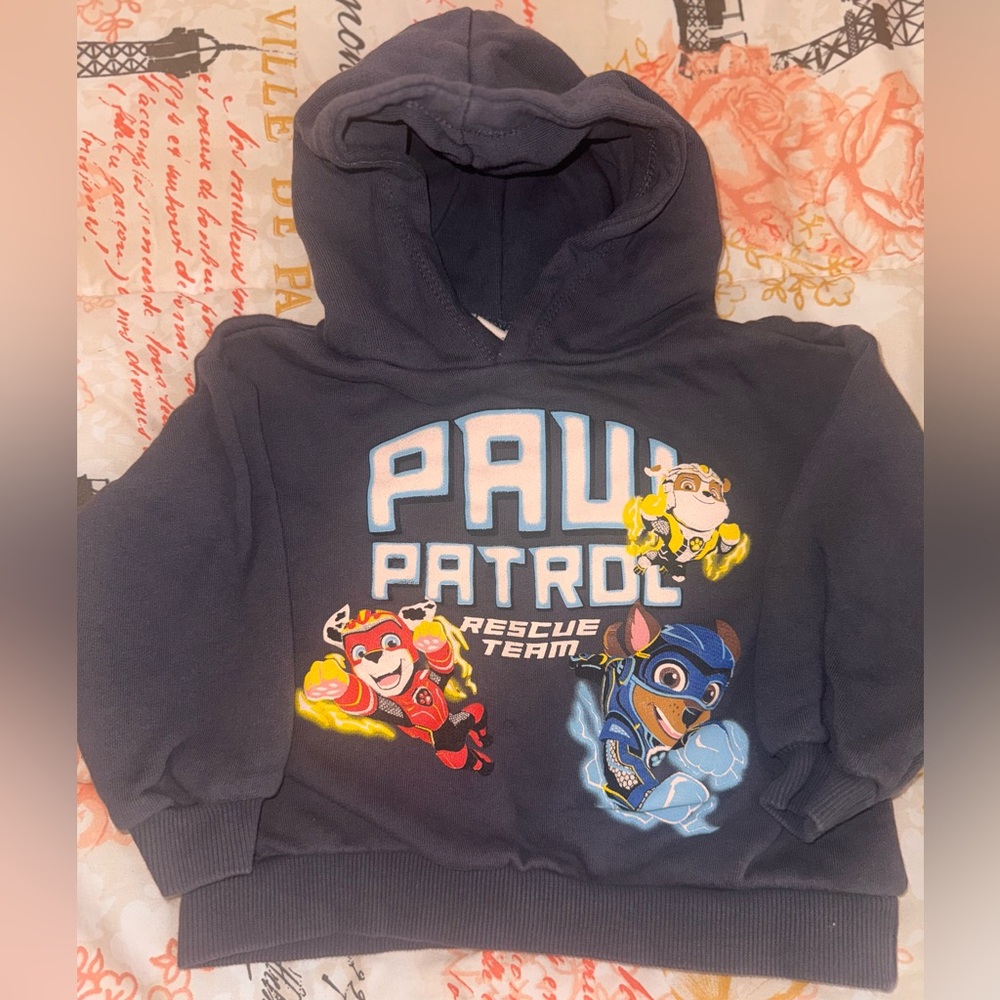 Toddler Boy Zara Paw Patrol Hoodie